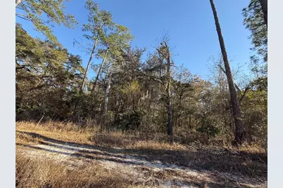 000 NE 126 Street, Bronson, FL 32621 - Photo 9