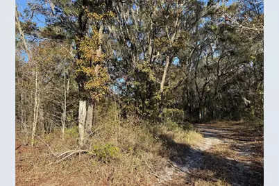 000 NE 126 Street, Bronson, FL 32621 - Photo 7