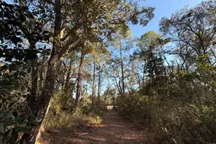 000 NE 126 St, Bronson, FL 32621 - Photo 1