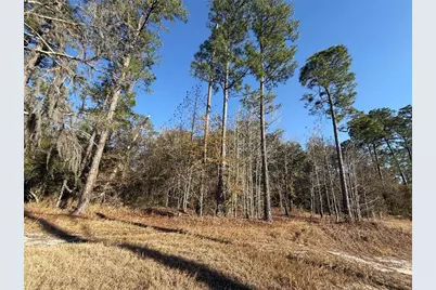 000 NE 126 Street, Bronson, FL 32621 - Photo 11