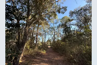 0 NE 126 Street, Bronson, FL 32621 - Photo 3