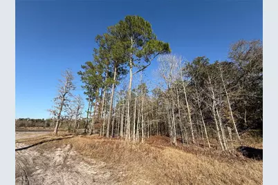 000 NE 126 Street, Bronson, FL 32621 - Photo 15