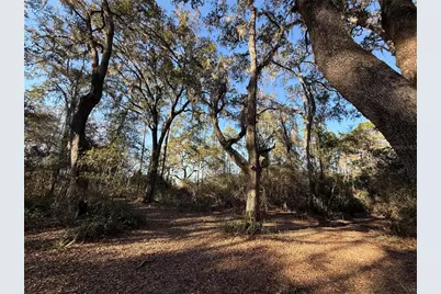 000 NE 126 Street, Bronson, FL 32621 - Photo 5