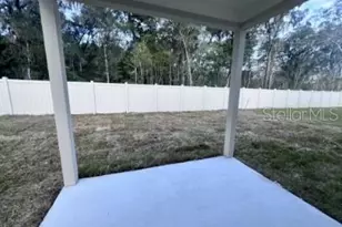 4802 SW 51st Wy, Gainesville, FL 32608 - Photo 9