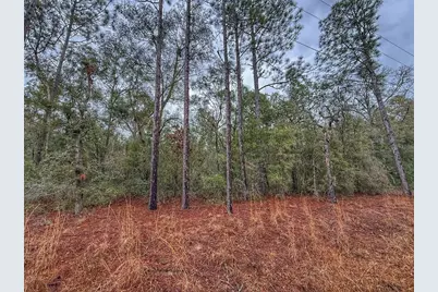 Tbd NW Nw 18 Terrace, Bell, FL 32619 - Photo 1