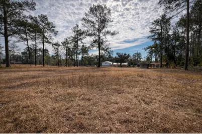 355 SW Marvin Burnett Road, Lake City, FL 32025 - Photo 5