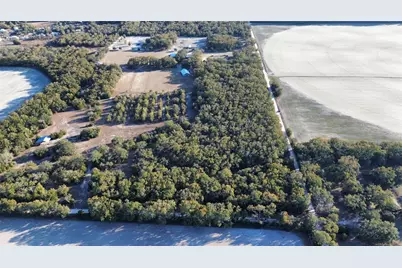 3829 Rodeo Road, Bell, FL 32619 - Photo 7