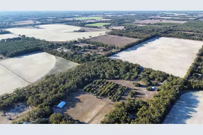 3829 Rodeo Road, Bell, FL 32619 - Photo 5