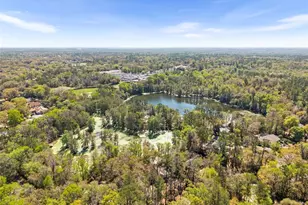 3201 NW 58 Blvd, Gainesville, FL 32606 - Photo 51