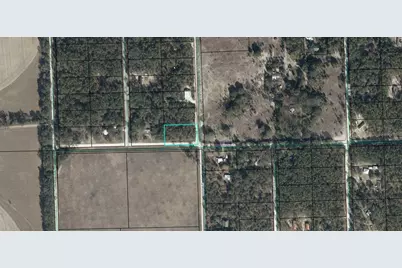 Tbd NW 60 Street NW, Bell, FL 32619 - Photo 3