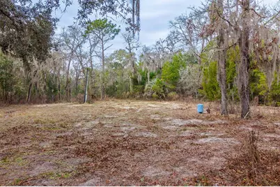 3216 Mill Creek Road, Middleburg, FL 32068 - Photo 5