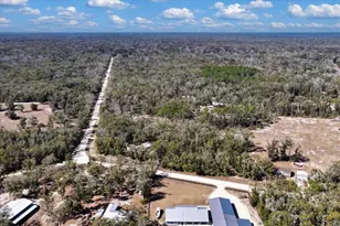 1658 NE 743rd St, Old Town, FL 32680 - Photo 47