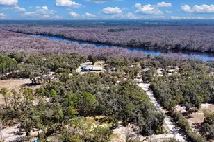 1658 NE 743rd St, Old Town, FL 32680 - Photo 43