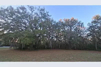 3289 NE County Road 340, High Springs, FL 32643 - Photo 15