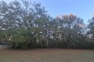 3289 NE County Rd 340, High Springs, FL 32643 - Photo 15