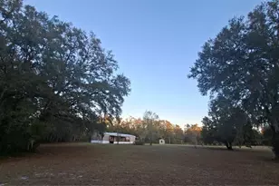 3289 NE County Rd 340, High Springs, FL 32643 - Photo 3