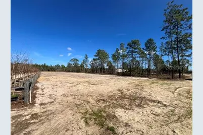 Ne 56 Street, Bronson, FL 32621 - Photo 1