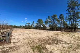 NE 56 St, Bronson, FL 32621 - Photo 1