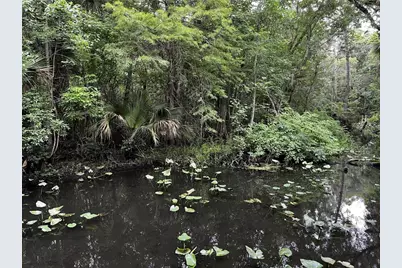 166 Mount Royal Avenue, Crescent City, FL 32112 - Photo 53