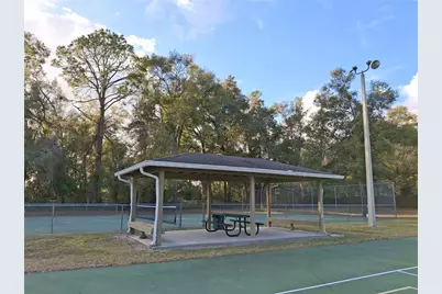 944 NW 256th Terrace, Newberry, FL 32669 - Photo 45