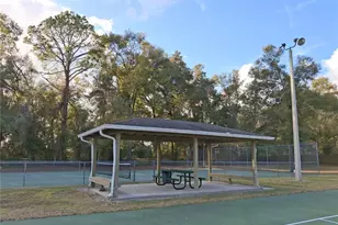 944 NW 256 Terrace, Newberry, FL 32669 - Photo 45