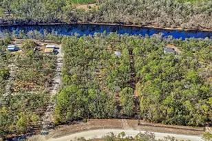 18825 229th Dr, Dowling Park, FL 32060 - Photo 29