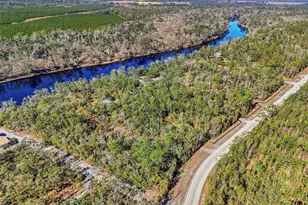 18825 229th Dr, Dowling Park, FL 32060 - Photo 33