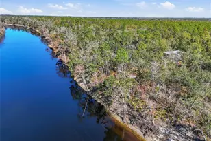 18825 229th Dr, Dowling Park, FL 32060 - Photo 39