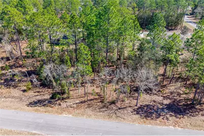 Tbd NE 151st , Lot 7 Avenue, Williston, FL 32696 - Photo 7