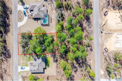 Tbd NE 151st , Lot 7 Avenue, Williston, FL 32696 - Photo 3