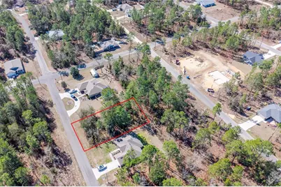 Tbd NE 151st , Lot 7 Avenue, Williston, FL 32696 - Photo 5