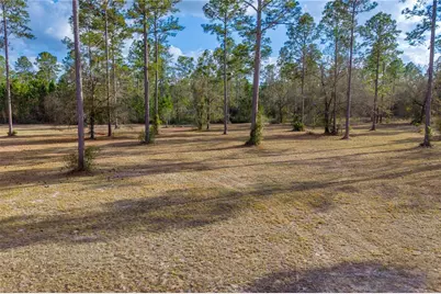 Tbd SE 64th Street, Lake Butler, FL 32054 - Photo 3