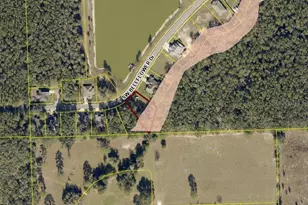 569 SW Bellflower Dr, Lake City, FL 32024 - Photo 3
