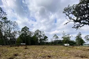 Tbd SW 9th St, Williston, FL 32696 - Photo 1