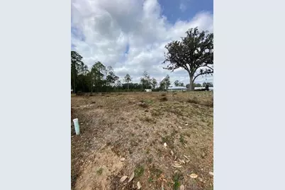 Tbd SW 9th Street, Williston, FL 32696 - Photo 3