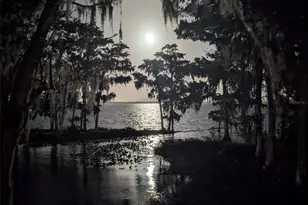 213 E Char Ln, Crescent City, FL 32112 - Photo 57