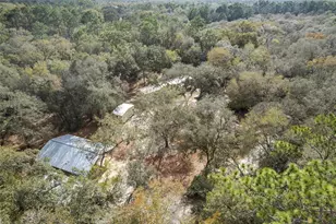 161 Hall Rd, Melrose, FL 32666 - Photo 53