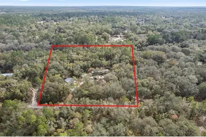 161 Hall Road, Melrose, FL 32666 - Photo 37