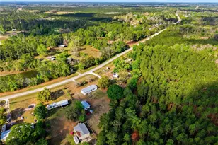 6903 SW County Rd 225, Starke, FL 32091 - Photo 45