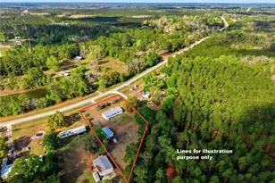 6903 SW County Rd 225, Starke, FL 32091 - Photo 49