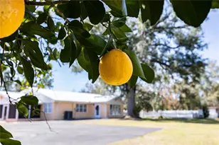 11085 E US Hwy 90, Lee, FL 32059 - Photo 25