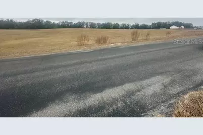 Nw 31st Street, Bell, FL 32619 - Photo 5