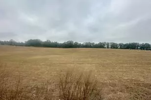 NW 31st St, Bell, FL 32619 - Photo 1