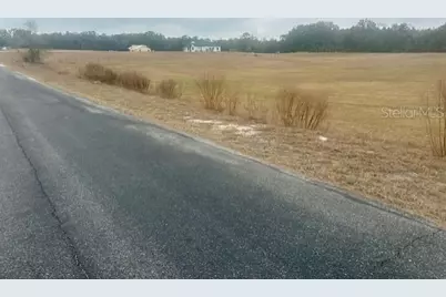 Nw 31st Street, Bell, FL 32619 - Photo 9