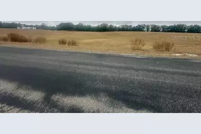 Nw 31st Street, Bell, FL 32619 - Photo 7