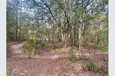 Nw 11th Avenue, Bell, FL 32619 - Photo 1