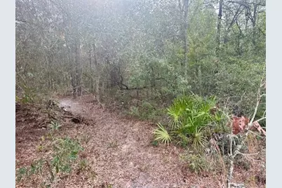 Nw 11th Avenue, Bell, FL 32619 - Photo 5