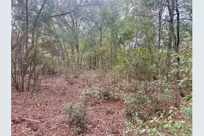 Nw 11th Avenue, Bell, FL 32619 - Photo 9