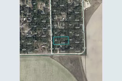 Nw 11th Avenue, Bell, FL 32619 - Photo 3