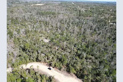 Blueberry Court, Alford, FL 32420 - Photo 5